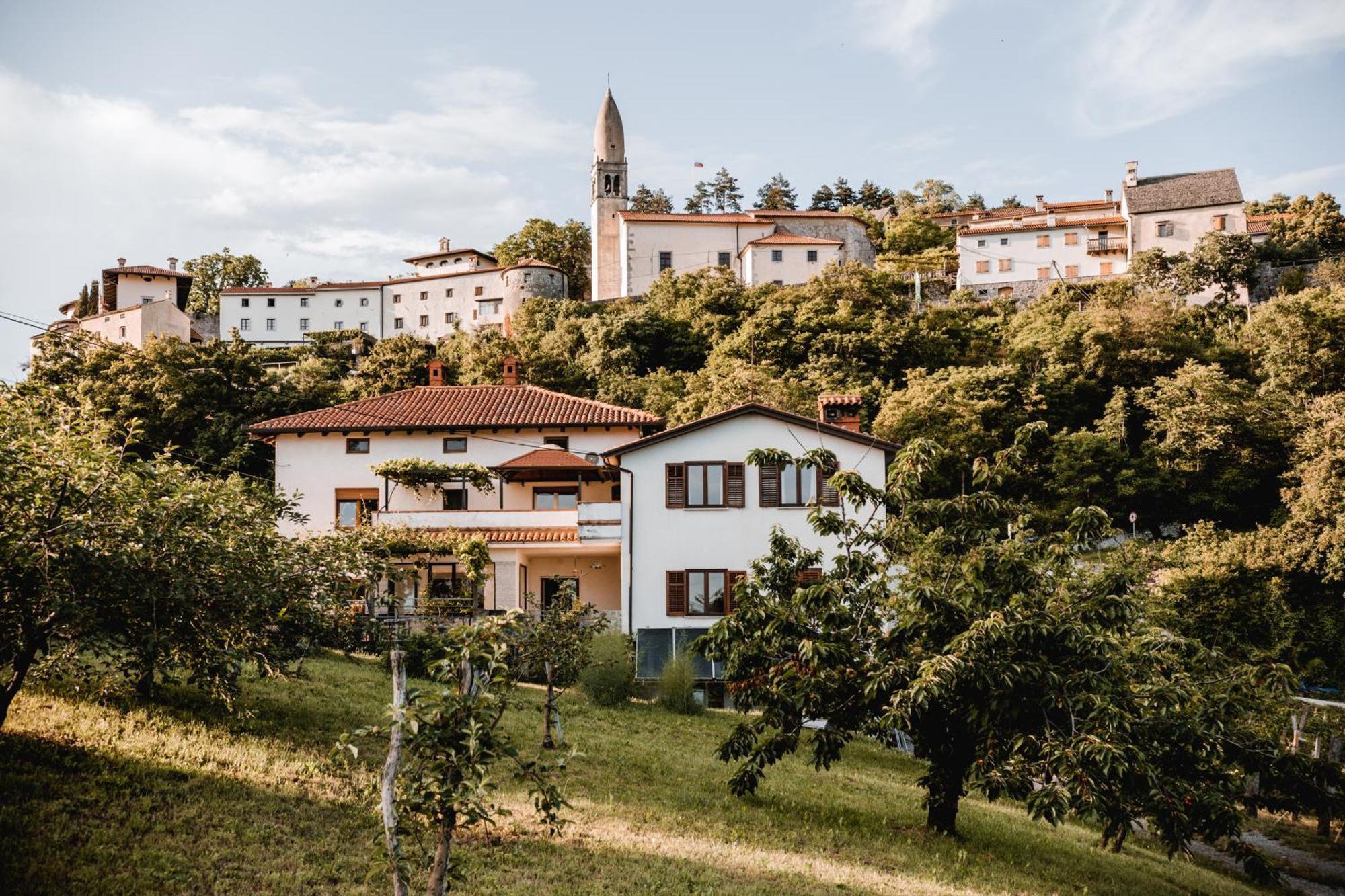 Ferienwohnung Vina Kobal, Kobal Family Estate Štanjel Exterior foto